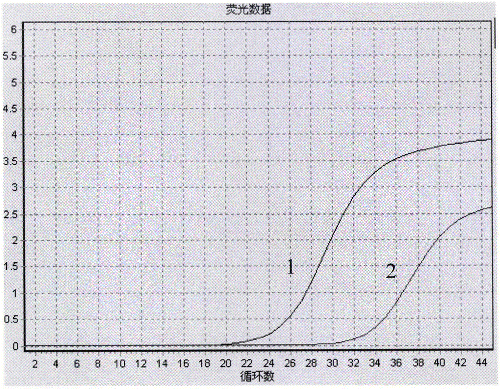 Graphene accelerated PCR (polymerase chain reaction) technology