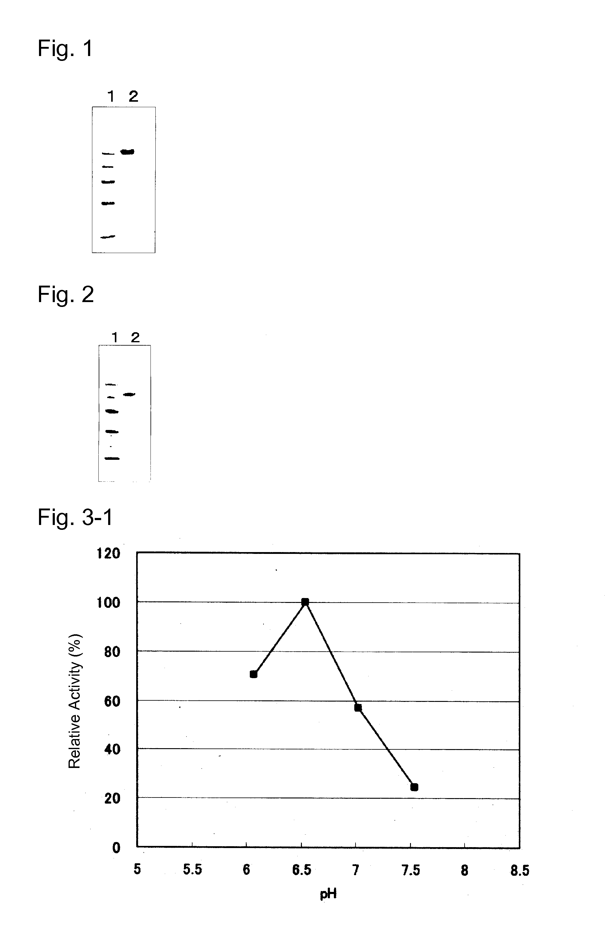 Novel glucose dehydrogenase