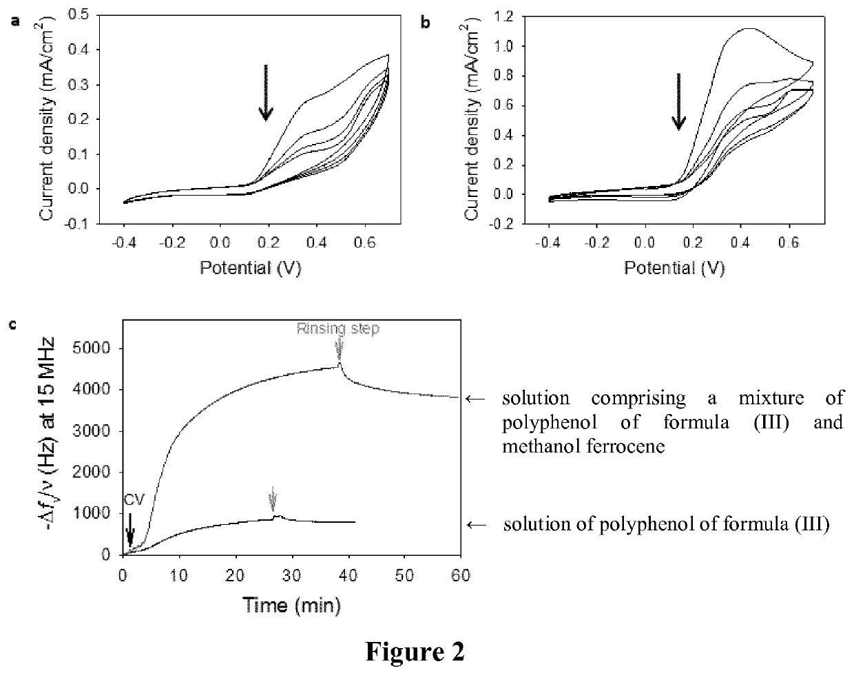 One pot electro-cross-linking of a protein for the development of a protein-based biosensor