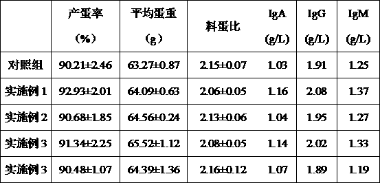 Feed prepared from hybrid paper mulberries as raw material and capable of improving immune performance of laying hens and preparation method of feed