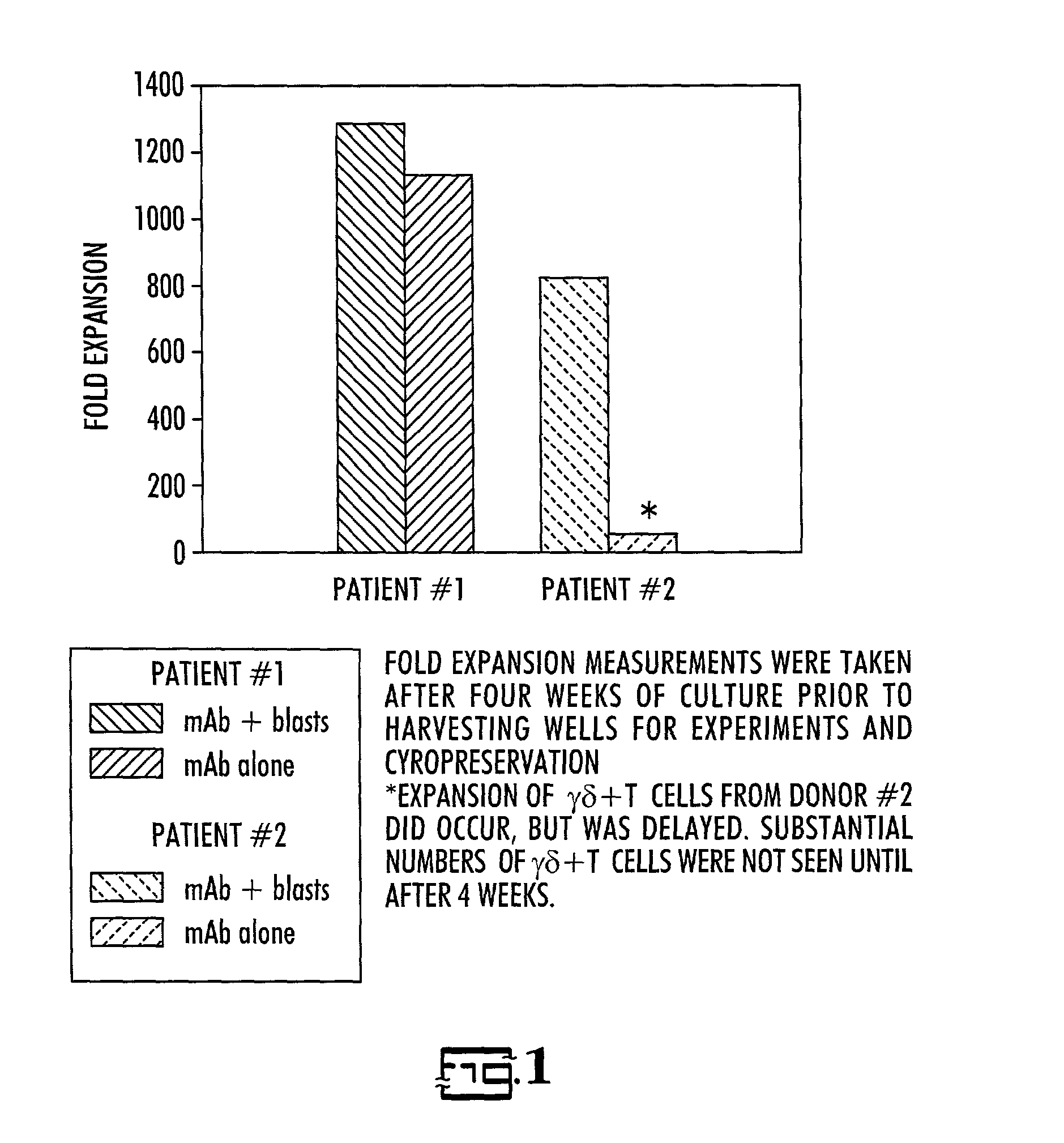 In vitro activated gamma delta lymphocytes