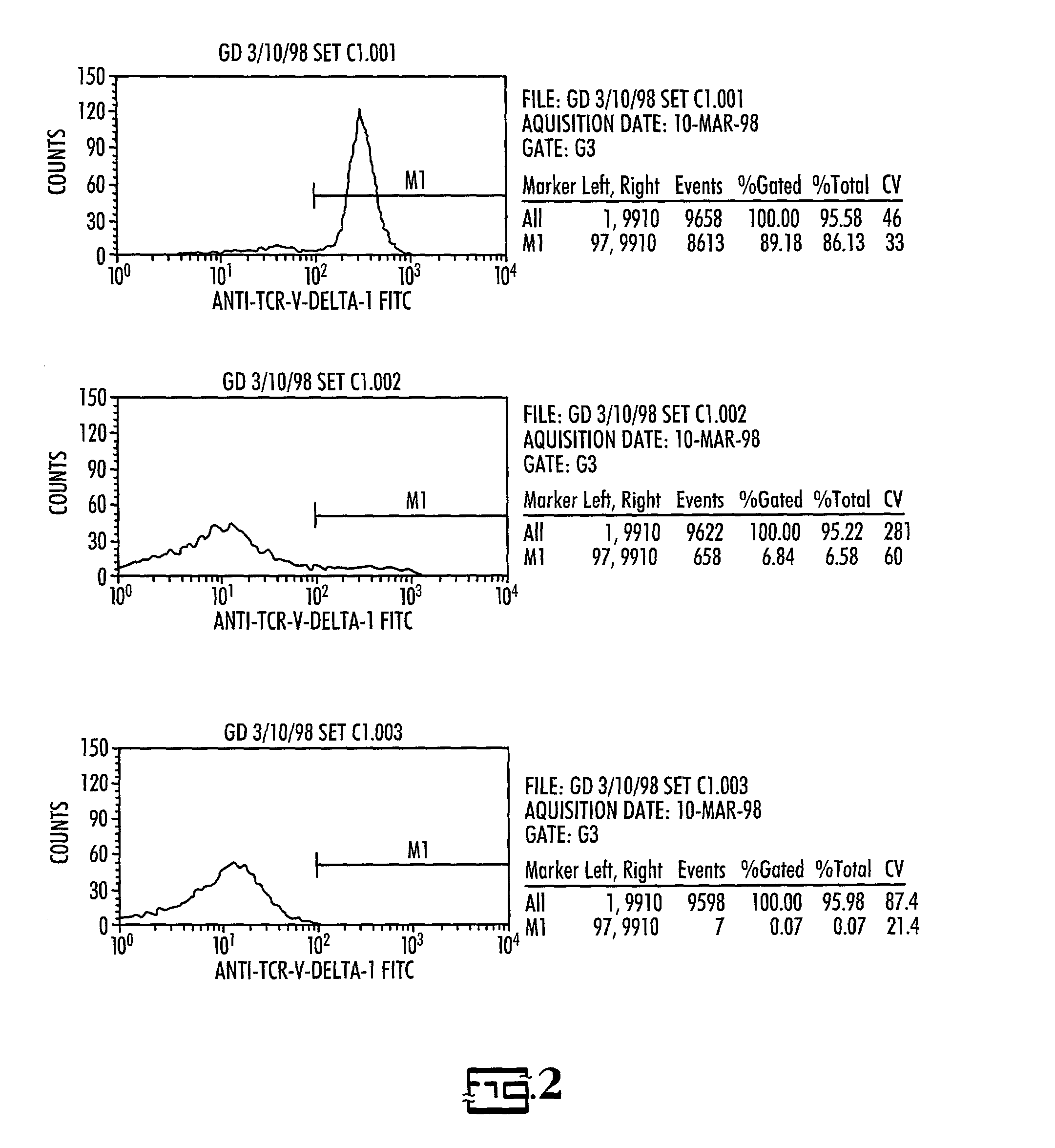 In vitro activated gamma delta lymphocytes