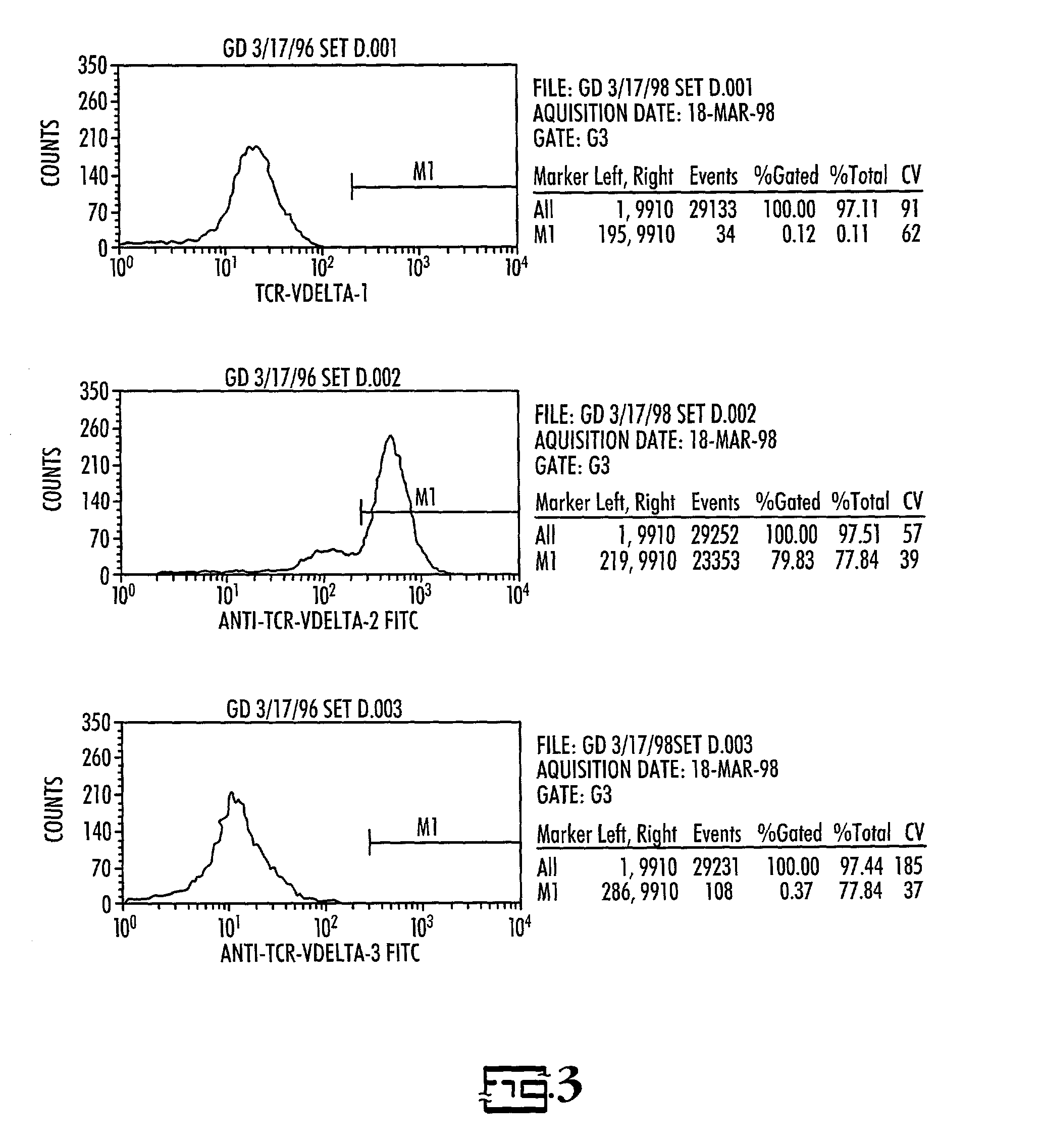 In vitro activated gamma delta lymphocytes