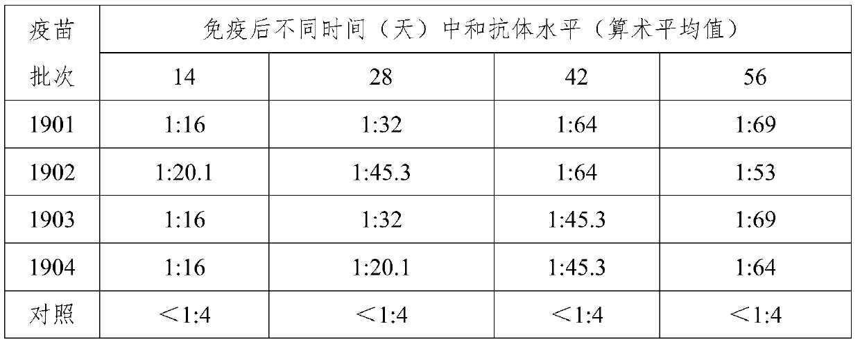 Preparation method of duck reovirus inactivated vaccine