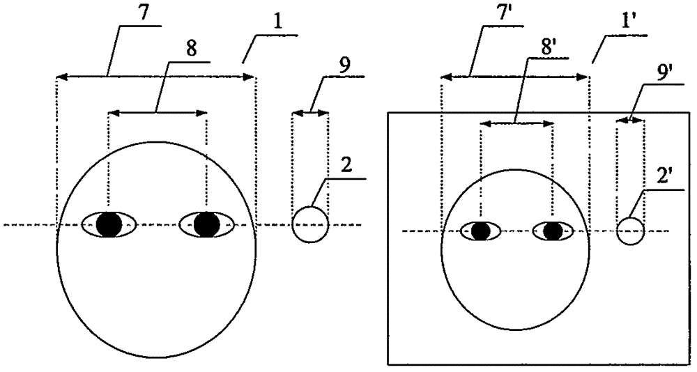 Convenient interactive eyeglass fitting method and device