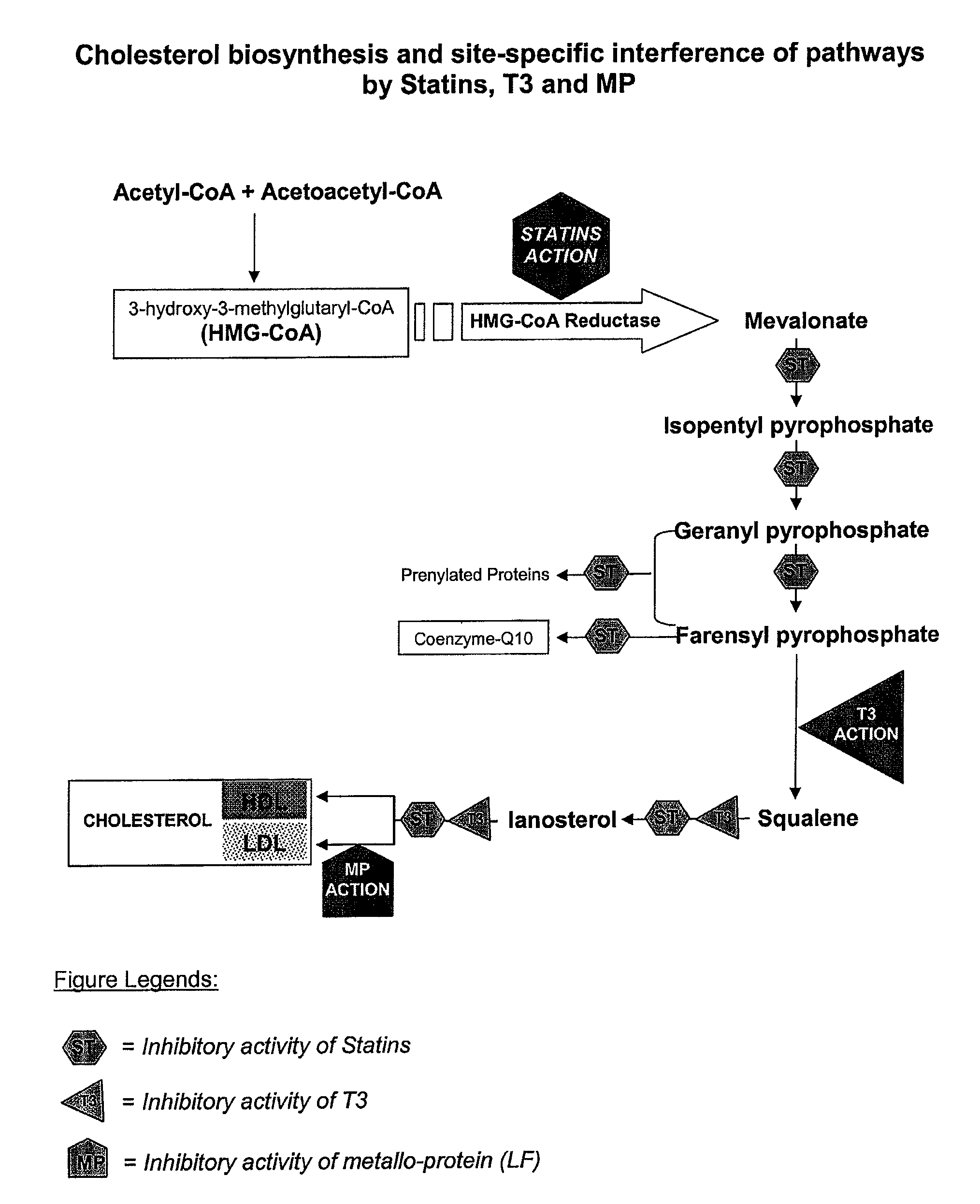 Metallo-protein and tocotrienol (MP-T3) compositions with non-protein-type metal chelator and uses thereof