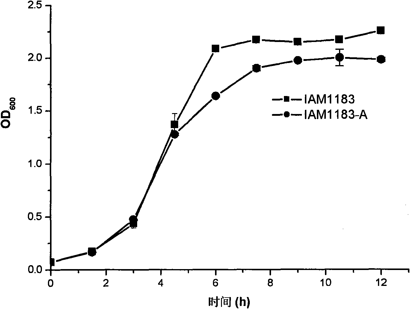 Hydrogen-producing engineering bacteria and application thereof