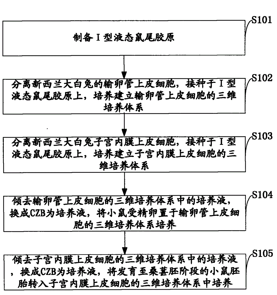 Method for carrying out embryo in-vitro culture by means of three-dimensional sequential co-culture