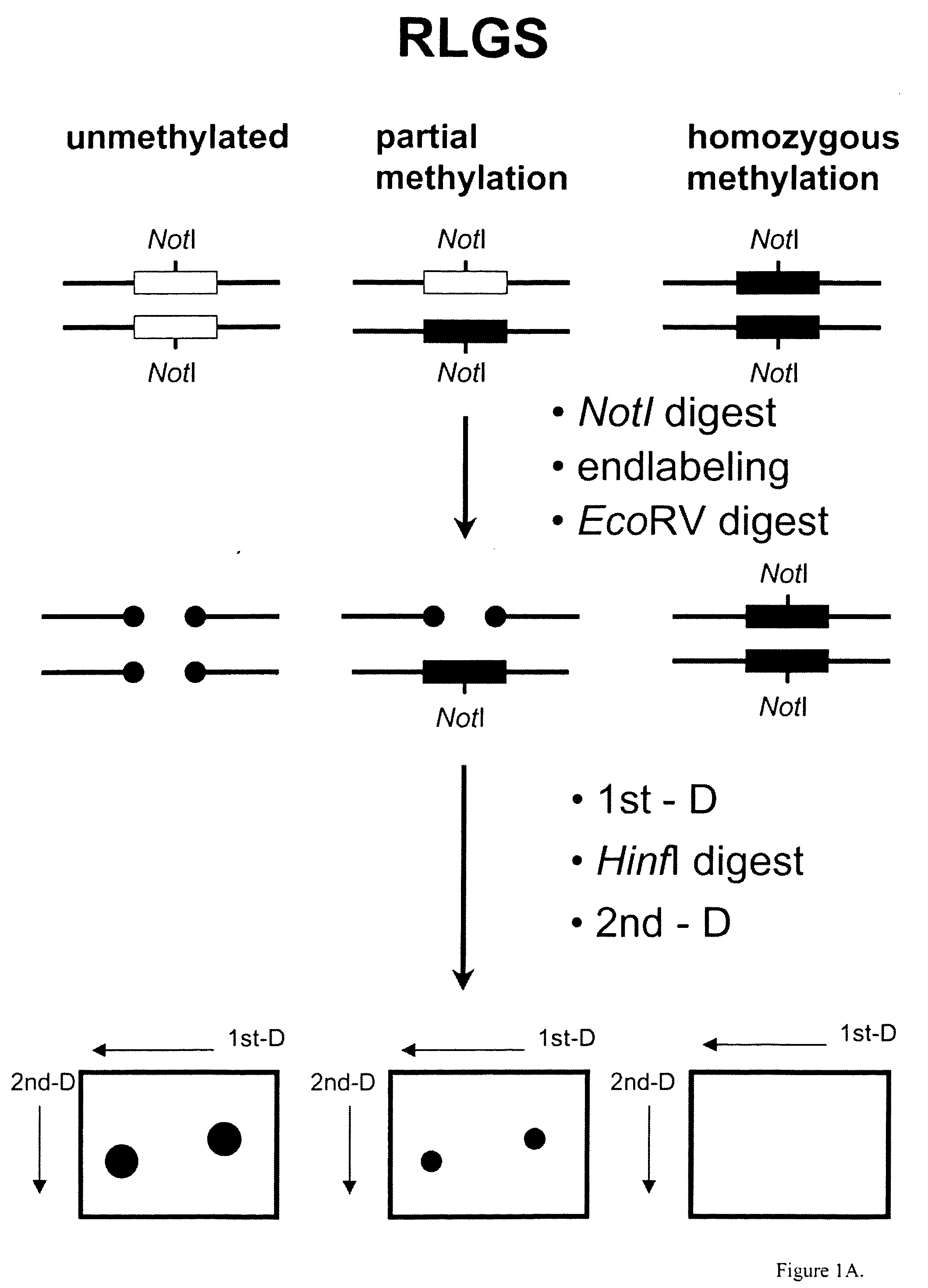 Detection of methylated CpG rich sequences diagnostic for malignant cells