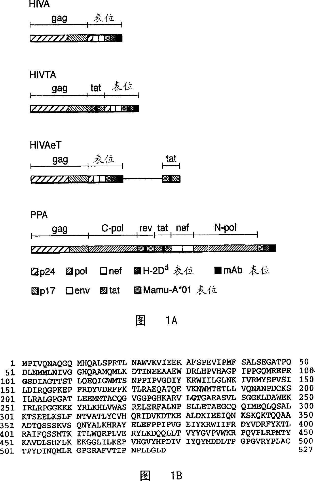 Improvments in or relating to immune responses to HIV