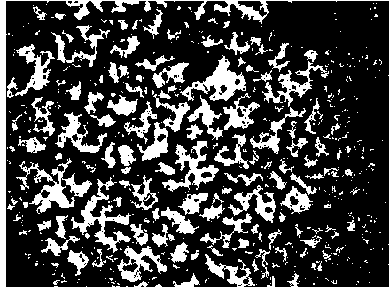 Space-induced efficient bacillus natto, application of bacillus natto and preparation method of troche of bacillus natto