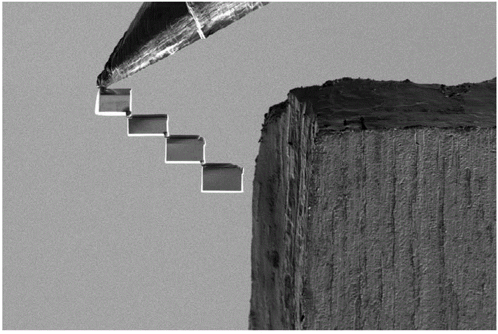 Multiple Sample Attachment to Nano Manipulator for High Throughput Sample Preparation