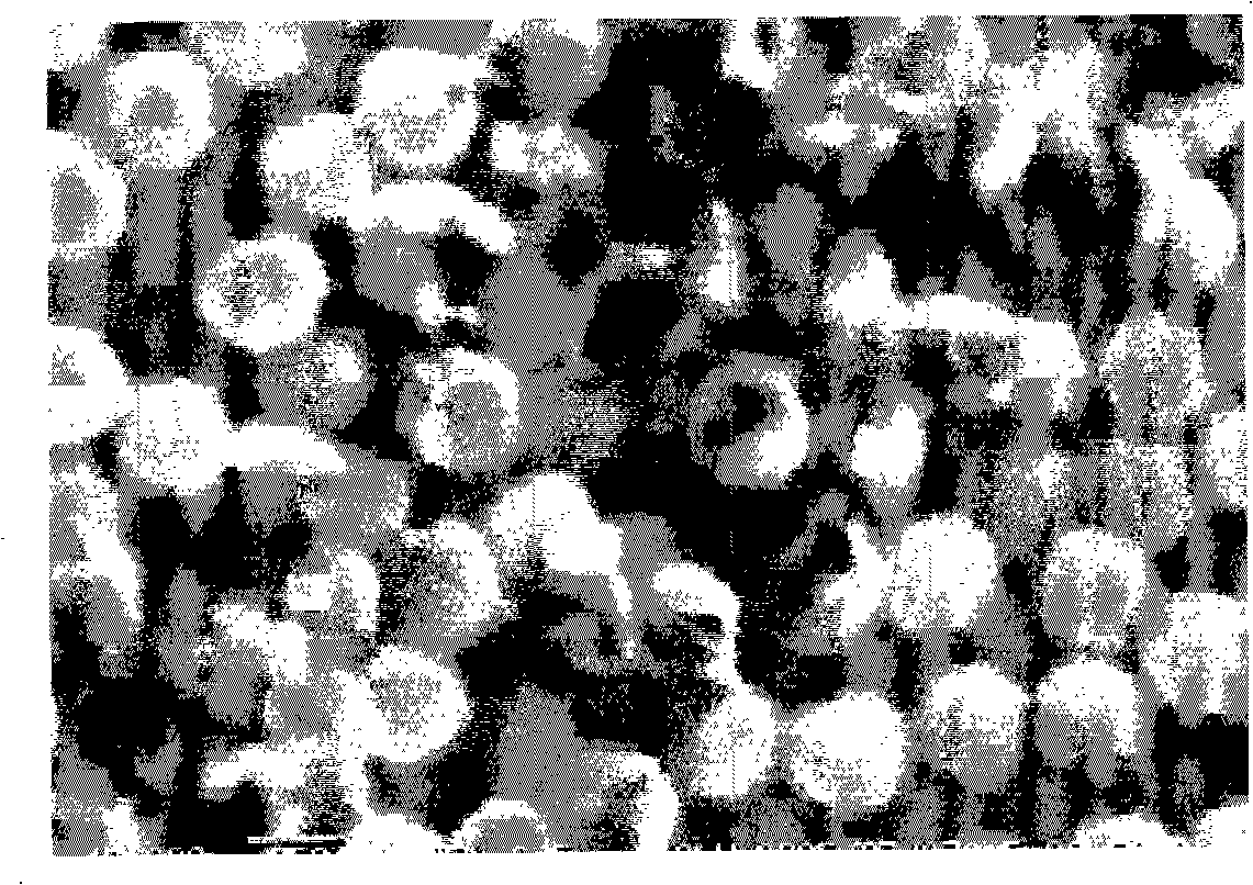 Hollow polymer particle, colored hollow polymer particle and their production methods