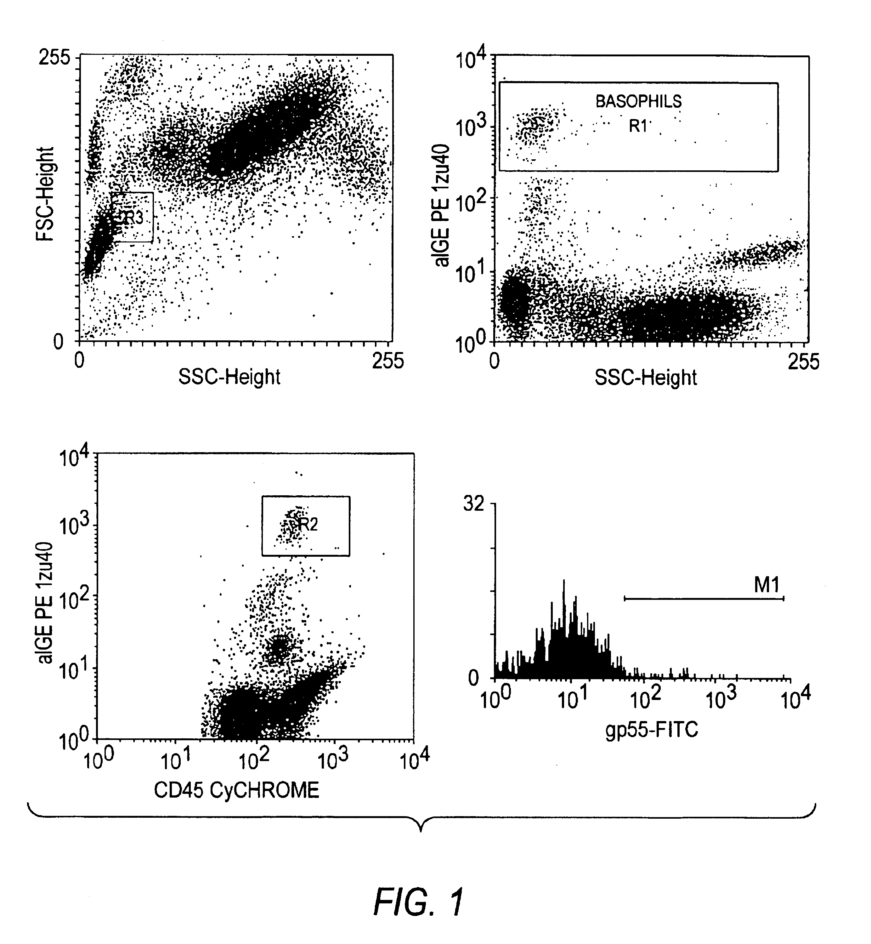 Basophil degranulation test