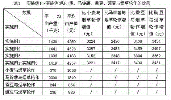 Method for crop rotation of erigeron breviscapus and tobacco