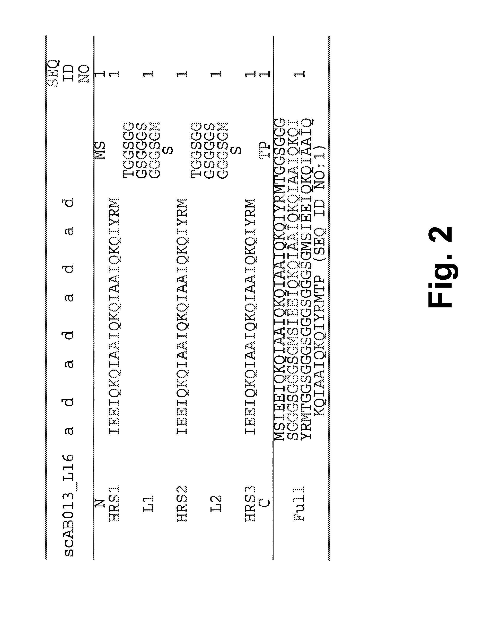 Alphabody libraries and methods for producing the same