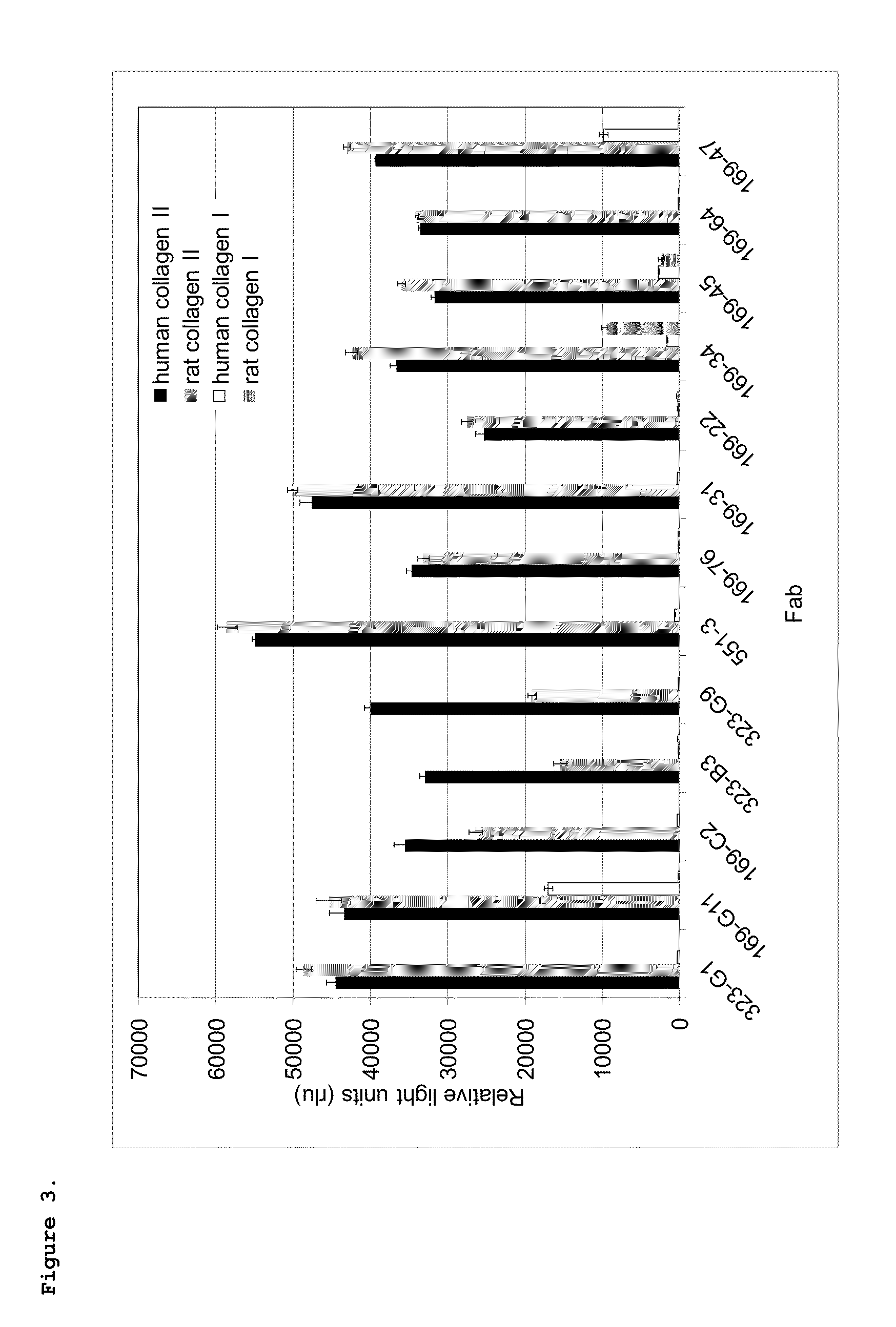 Antibodies binding human collagen II