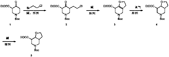 5-tert-butyloxycarbonyl octahydrofuro[3,2-c]pyridine-7-carboxylic acid synthesis method