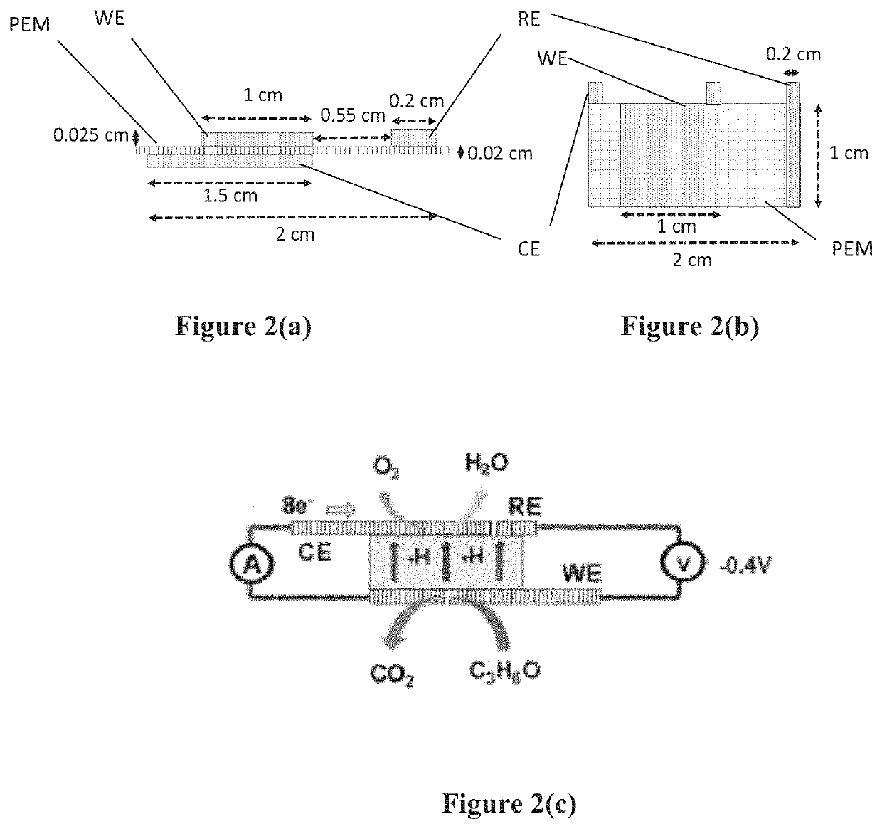 Sensor for detection of acetone