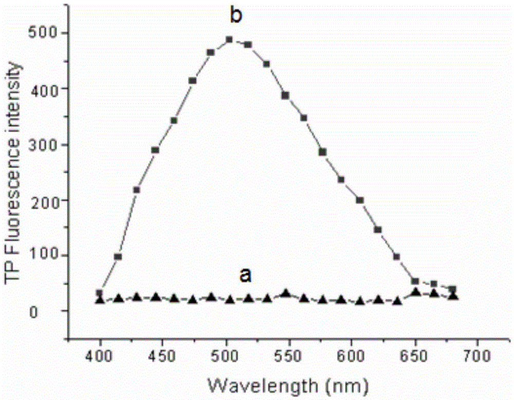 Two-photon reversible type fluorescent probe FO-PSe for hypochlorous acid detection, and preparation method and application thereof