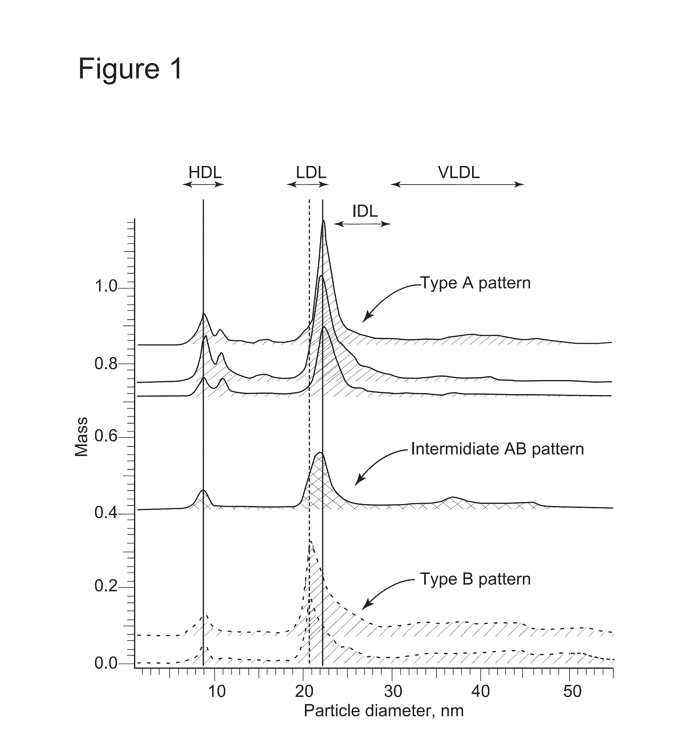 Apparatuses, Processes, and Systems for Measuring Particle Size Distribution and Concentration