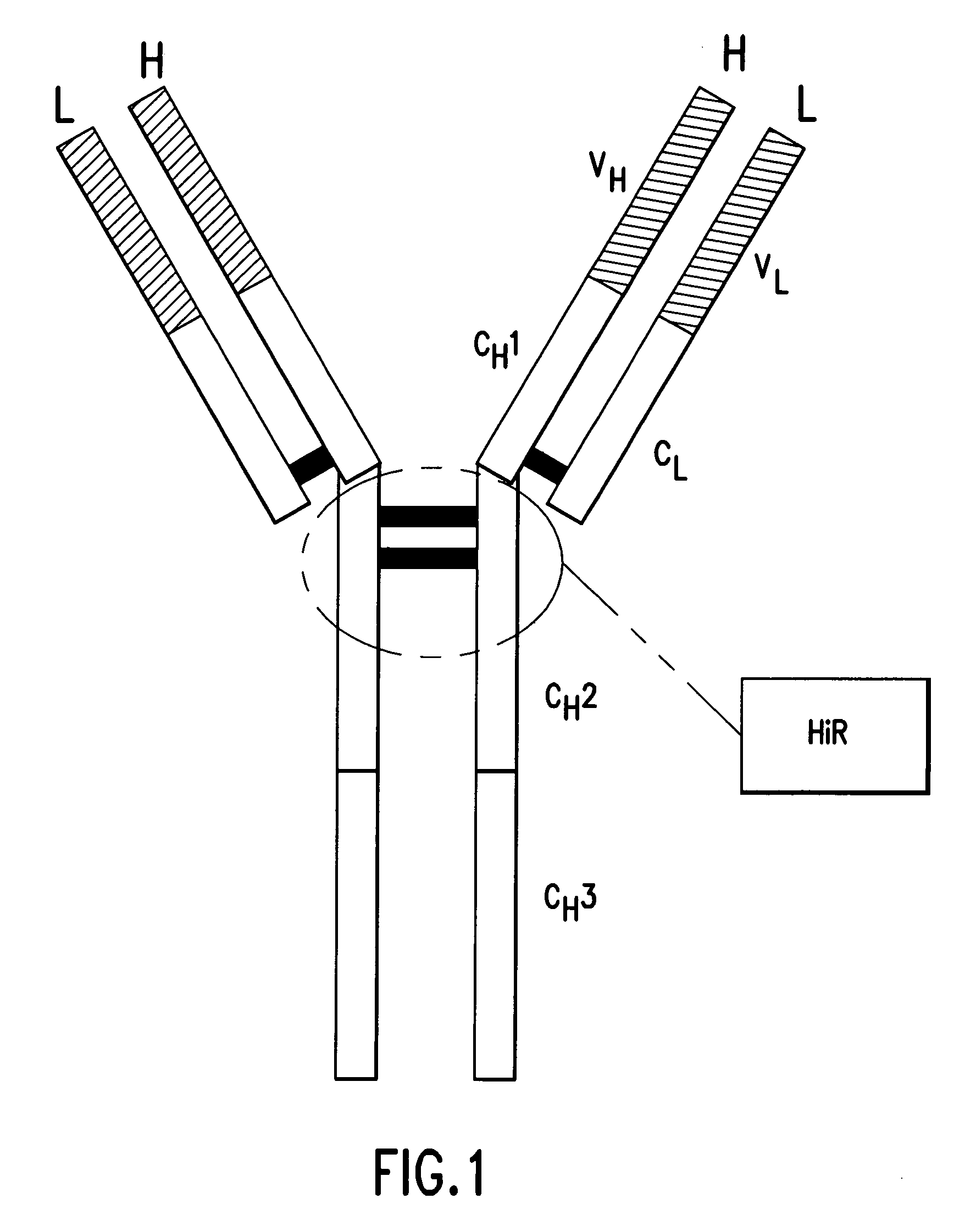 Pharmaceutical composition of F(ab')2 antibody fragments