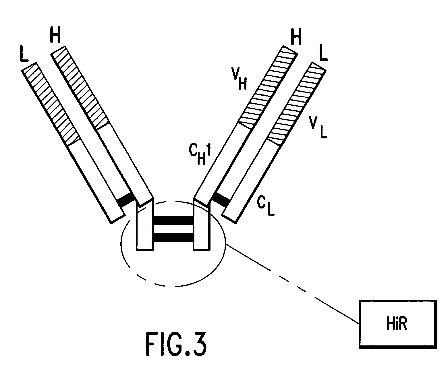 Pharmaceutical composition of F(ab')2 antibody fragments