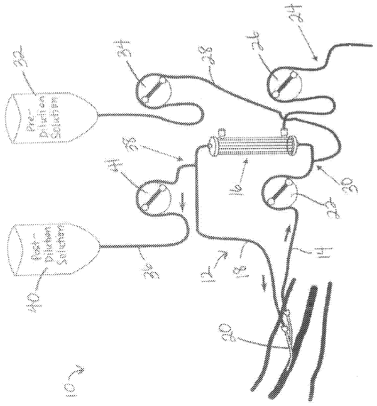 System and Method for Delivery of Regional Citrate Anticoagulation to Extracorporeal Blood Circuits