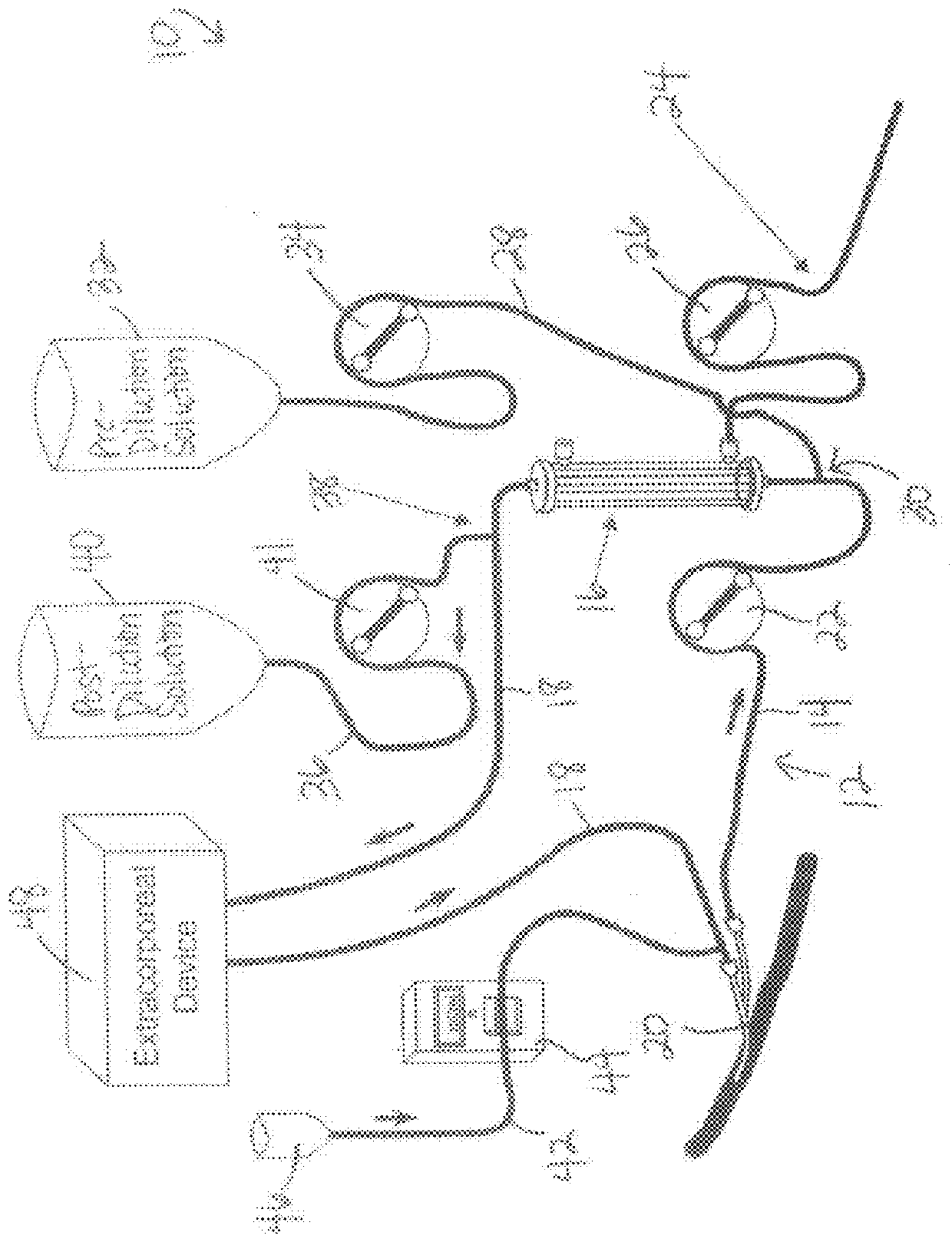 System and Method for Delivery of Regional Citrate Anticoagulation to Extracorporeal Blood Circuits