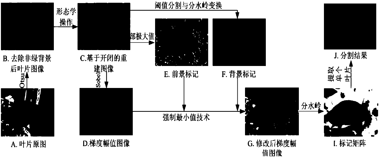 Plant leaf distinguishing method based on image segmentation and feature fusion