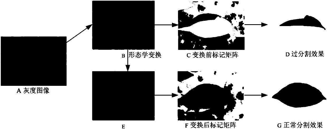 Plant leaf distinguishing method based on image segmentation and feature fusion