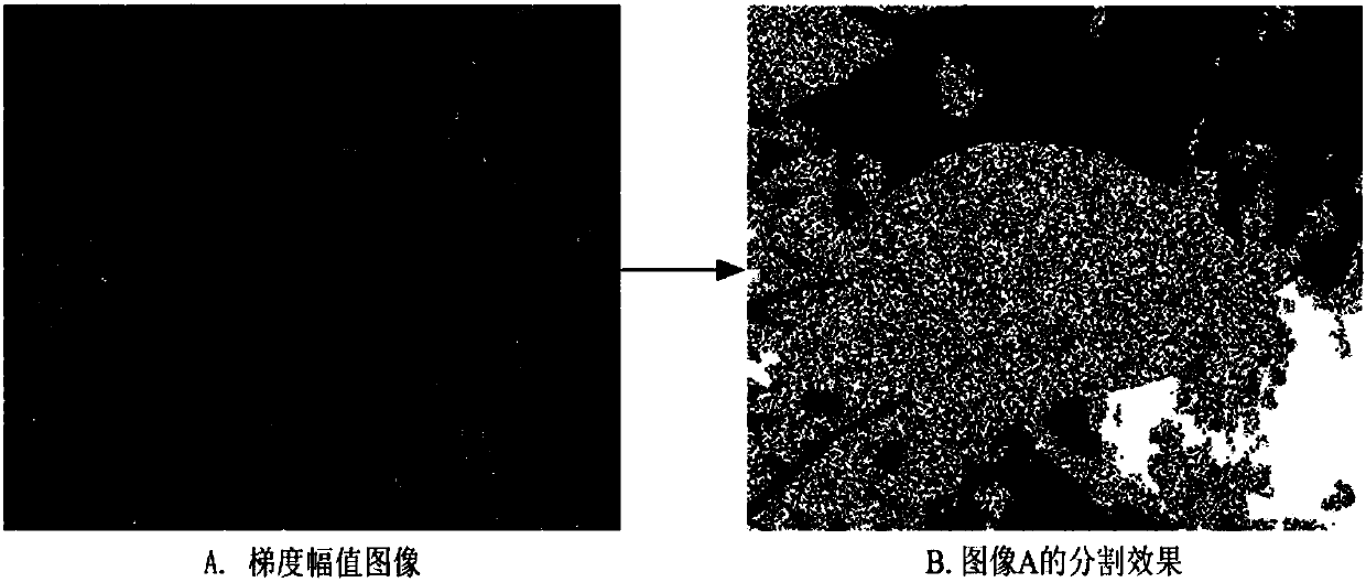 Plant leaf distinguishing method based on image segmentation and feature fusion