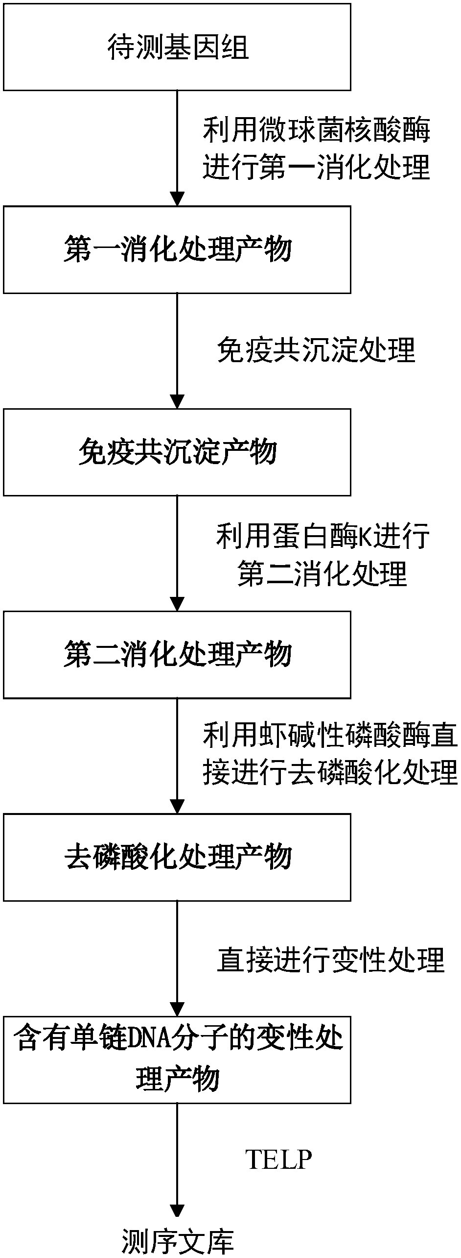 Method and application of constructing dna sequencing library of genome to be tested