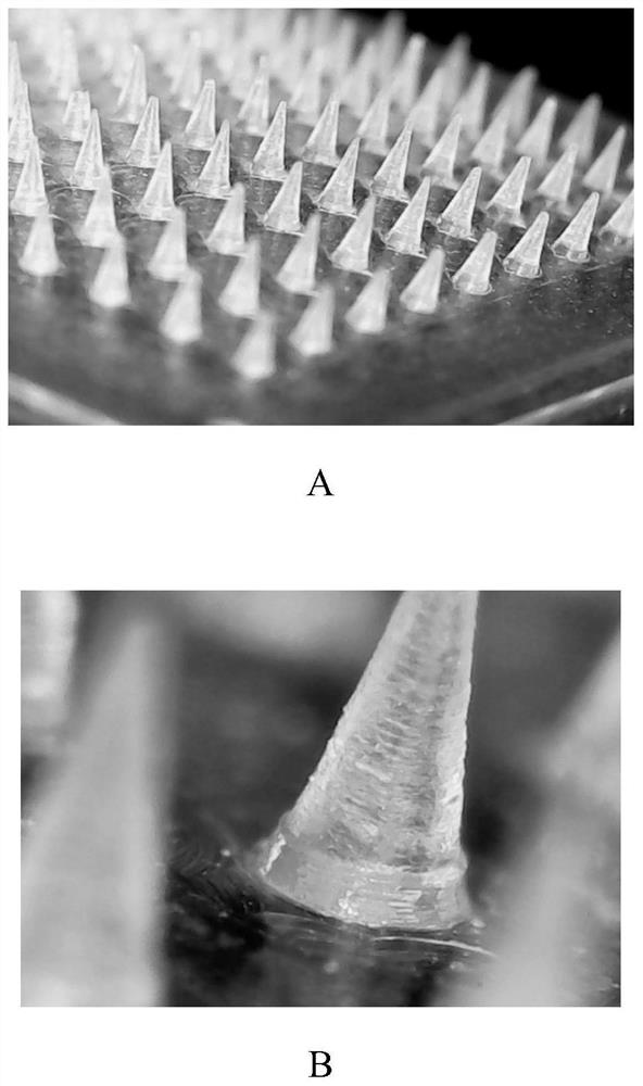 Composition with whitening effect, whitening soluble microneedle patch with high drug loading and preparation method thereof