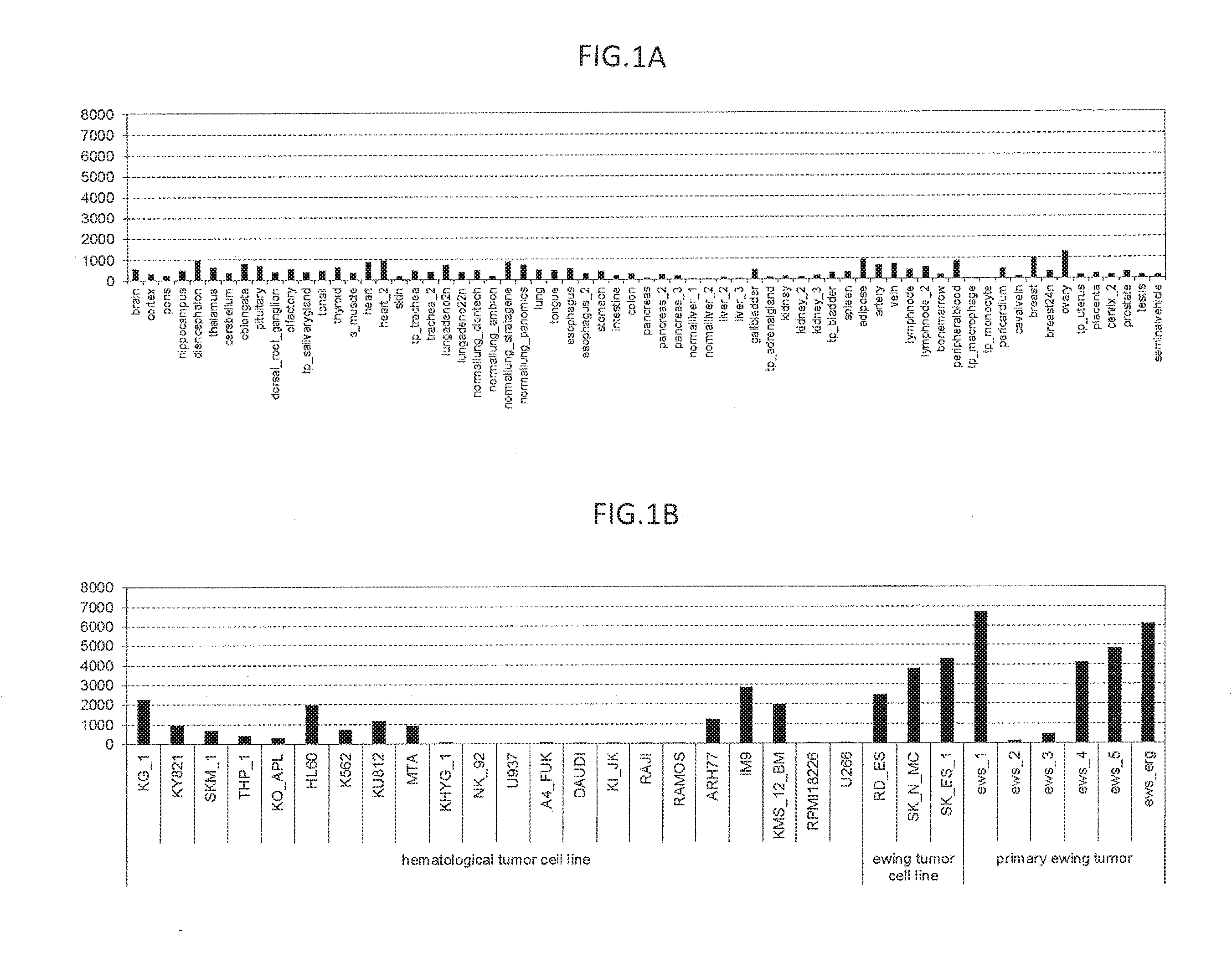 Diagnosis and treatment of cancer using Anti-itm2a  antibody