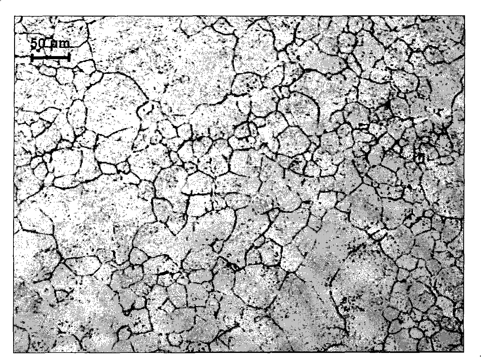 Ultra-supercritical steel organization display method