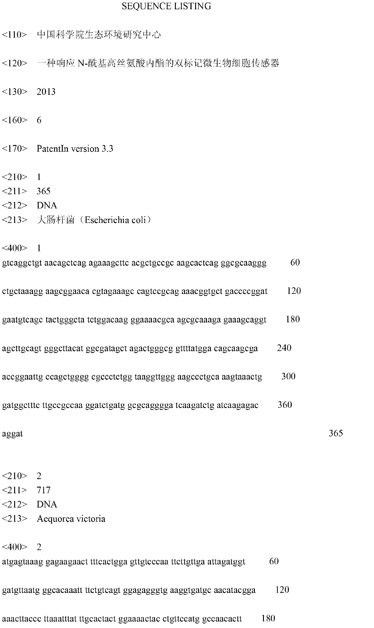 Double-tagging microbial cell biosensor for detecting N-acyl homoserine lactone