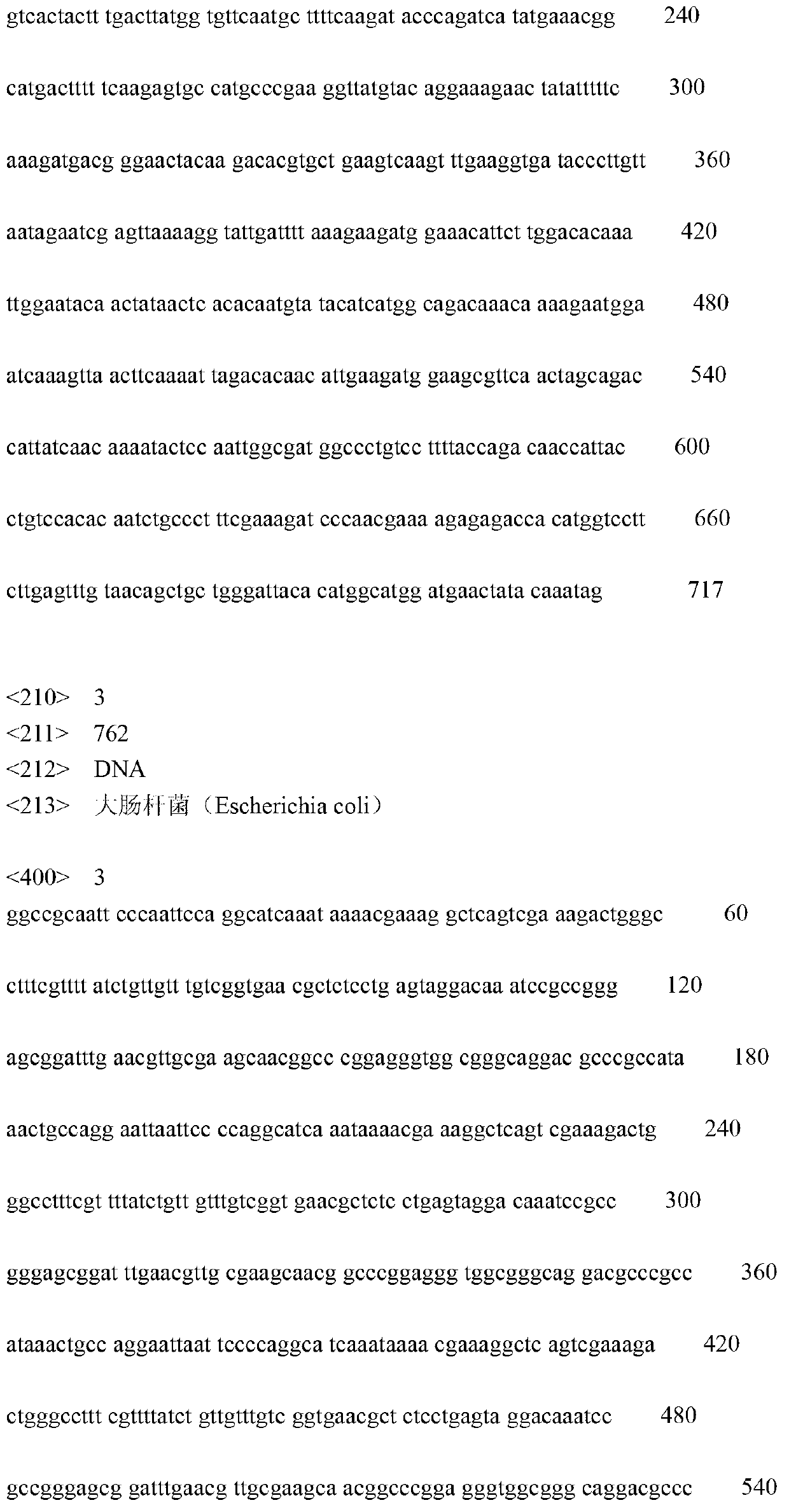 Double-tagging microbial cell biosensor for detecting N-acyl homoserine lactone