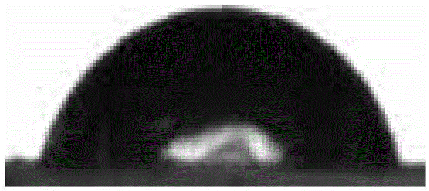 Preparation method of tara gum edible membrane with hydrophobic performance