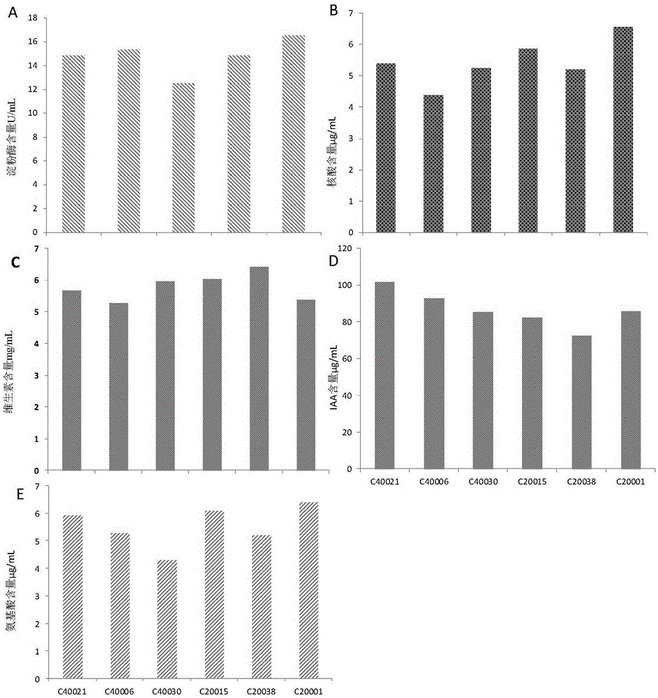 Enzyme fertilizer and preparation method and application thereof