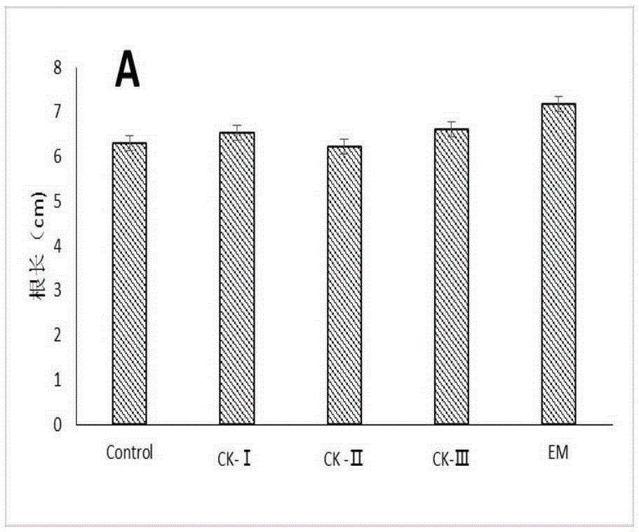 Enzyme fertilizer and preparation method and application thereof