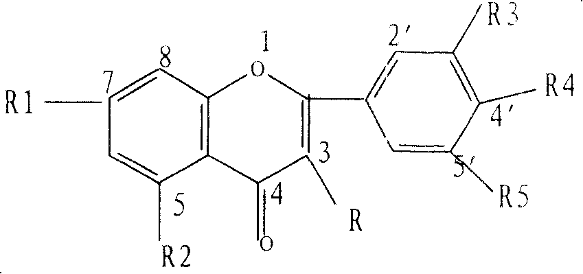 Persimmon leaf flavone extract, preparation method and application thereof