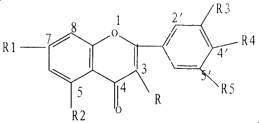 Persimmon leaf flavone extract, preparation method and application thereof