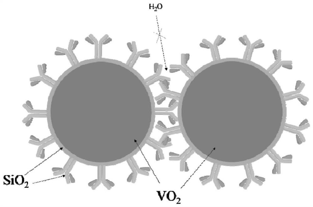 Film coating liquid for photovoltaic module, preparation method of film coating liquid and photovoltaic module