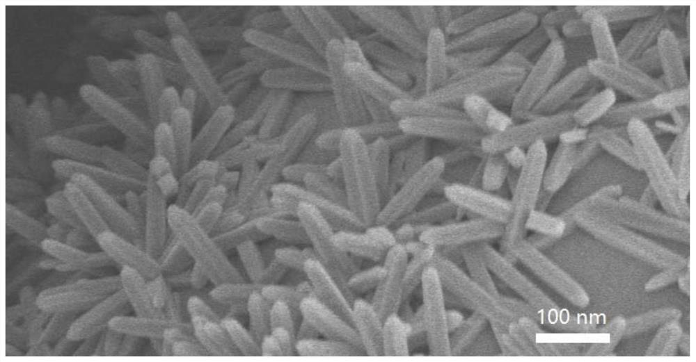 Film coating liquid for photovoltaic module, preparation method of film coating liquid and photovoltaic module