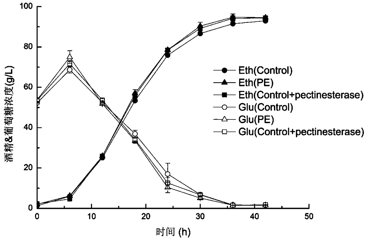 A Saccharomyces cerevisiae engineered strain expressing pectin esterase and its application