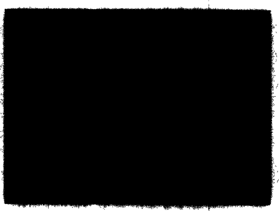 Yellow fluorochrome and synthetic method and use thereof