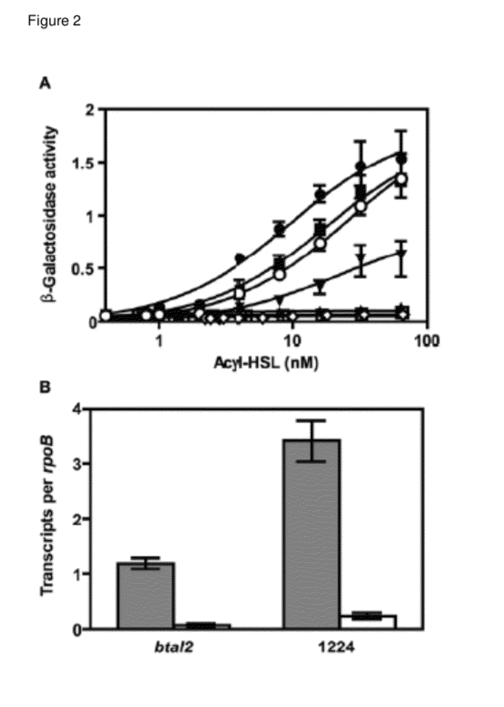 Bactobolin analog and synthesis method thereof