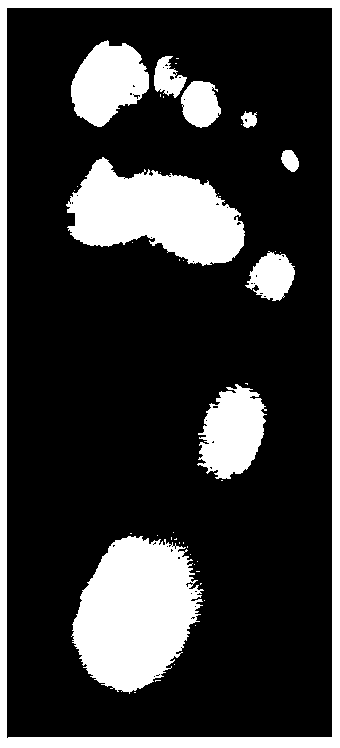 Analysis and processing system for mass plantar pressure data