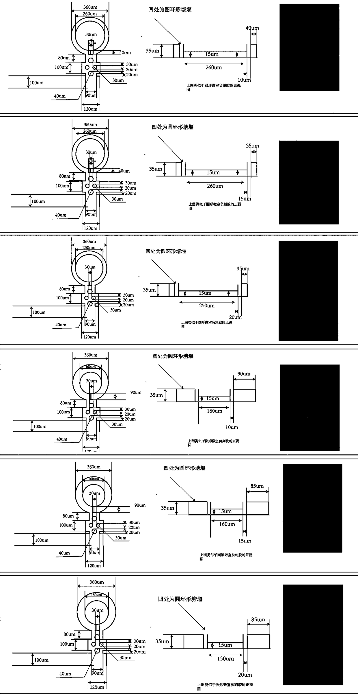 A micro-chamber microfluidic system for microbial growth image detection